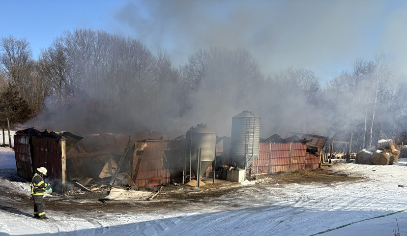 Chickens/Puppies Die in Stearns County Barn Fire