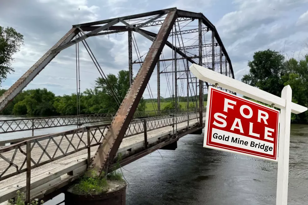 REDWOOD COUNTY SELLING BRIDGE FOR A DOLLAR